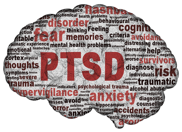 PTSD BRAIN IMAGE